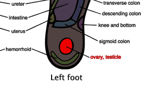 Foot Massage