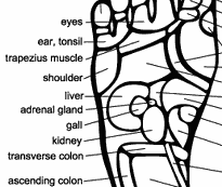 foot_chart