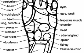 foot_chart