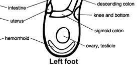 foot_chart