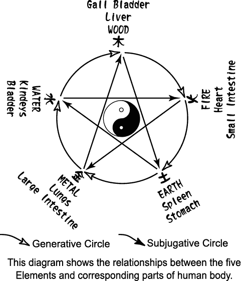5element_b.gif (16329 bytes)