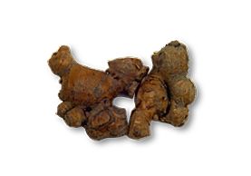herb101_35.jpg (5824 bytes)
