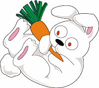 rabbit