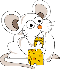 rat
