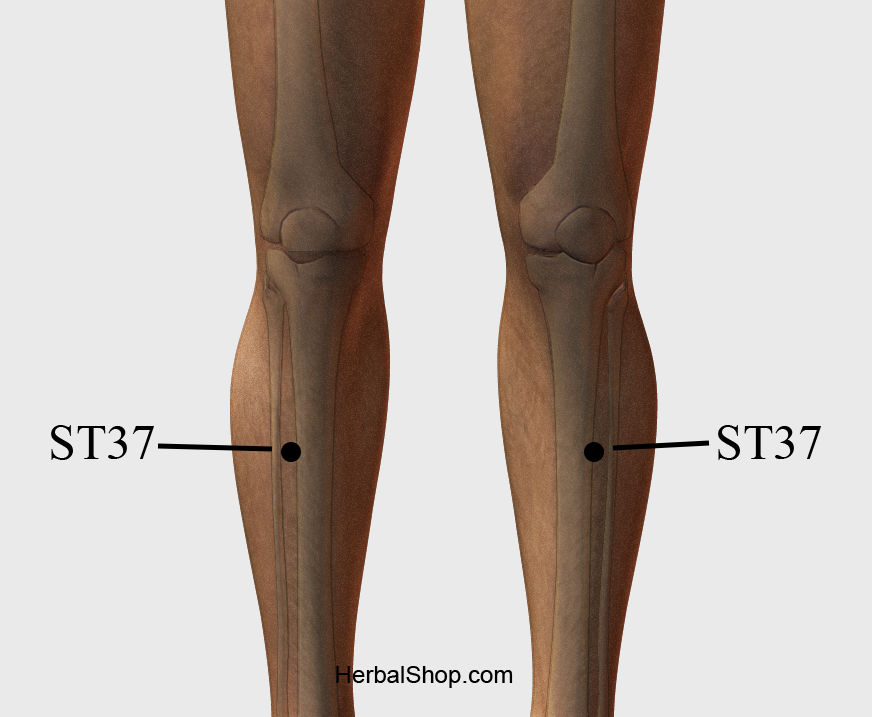 Acupressure Point ST36