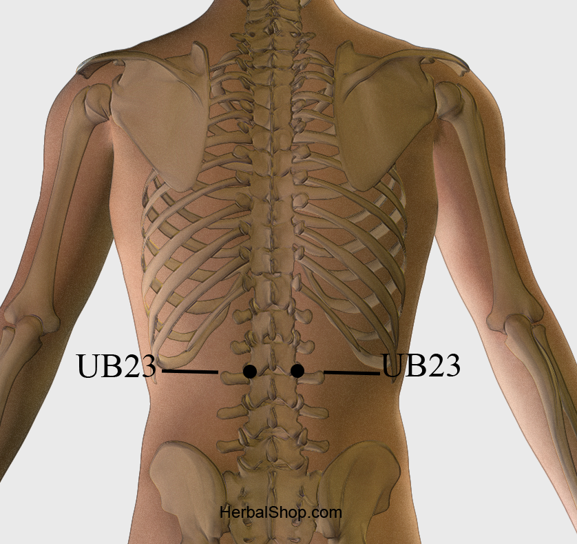 Acupressure Point UB23