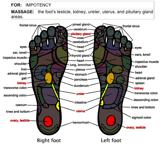 How to Alleviate Impotence with Foot Massage – HerbalShop