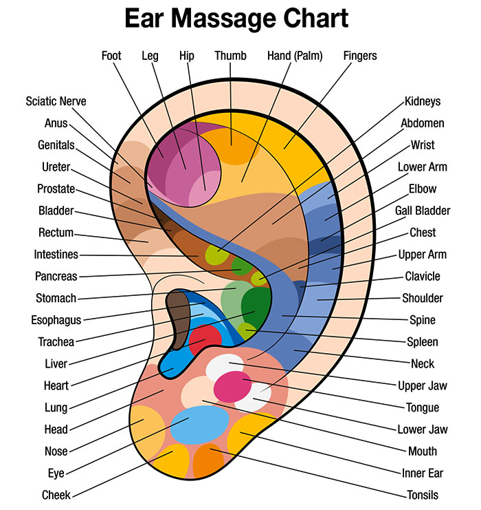 Acupressure Points Chart Free Download