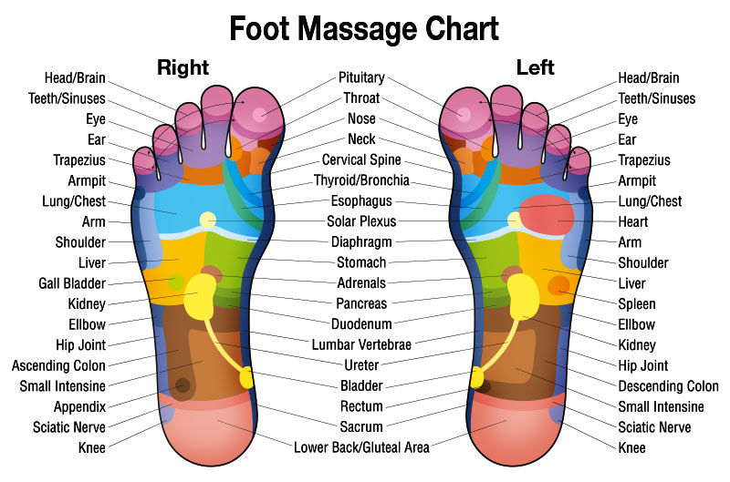 Foot Massage Therapy – HerbalShop
